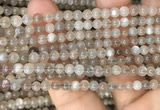 CMS1684 15.5 inches 4mm round rainbow moonstone beads wholesale