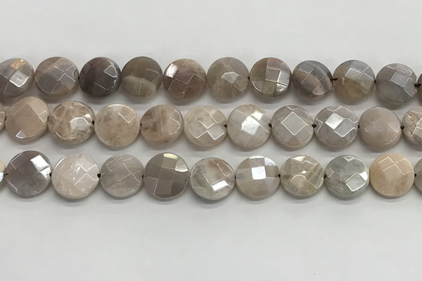 CMS1790 15.5 inches 12mm faceted coin AB-color moonstone beads