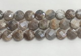 CMS1793 15.5 inches 18mm faceted coin AB-color moonstone beads