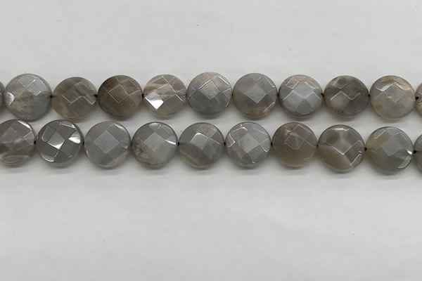 CMS1819 15.5 inches 14mm faceted coin AB-color moonstone beads