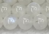 CMS1903 15.5 inches 10mm round white moonstone gemstone beads