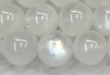 CMS1908 15.5 inches 10mm round white moonstone gemstone beads