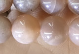 CMS1931 15.5 inches 8mm round moonstone beads wholesale