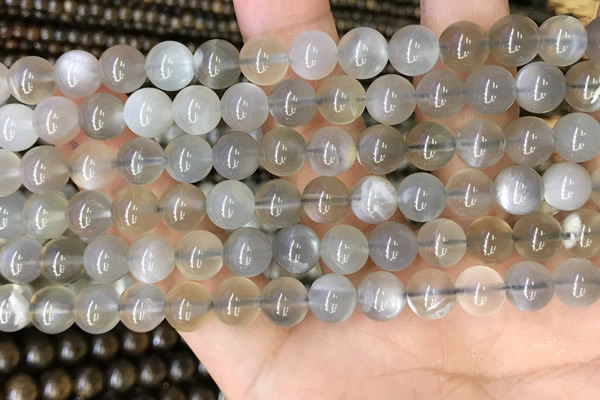 CMS1942 15.5 inches 8mm round grey moonstone beads wholesale