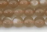 CMS1956 15.5 inches 5mm round natural moonstone gemstone beads