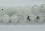 CMS205 15.5 inches 11mm round moonstone gemstone beads wholesale