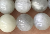 CMS2051 15.5 inches 8mm round moonstone gemstone beads