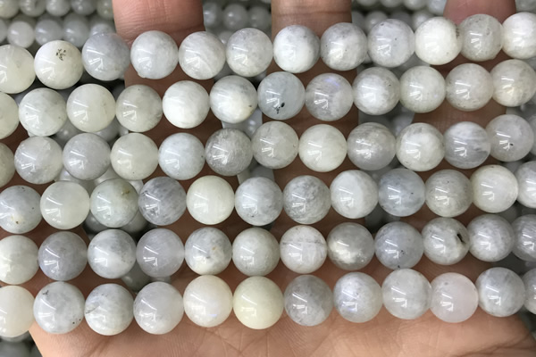 CMS2051 15.5 inches 8mm round moonstone gemstone beads