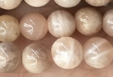 CMS2054 15.5 inches 6mm round moonstone gemstone beads