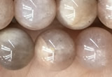 CMS2055 15.5 inches 8mm round moonstone gemstone beads