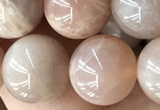 CMS2056 15.5 inches 10mm round moonstone gemstone beads