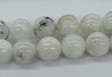 CMS206 15.5 inches 12mm round moonstone gemstone beads wholesale