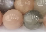 CMS2073 15 inches 12mm round moonstone gemstone beads