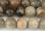 CMS2087 15 inches 8mm round moonstone gemstone beads