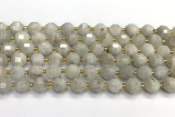 CMS2090 15 inches 9mm - 10mm faceted white moonstone beads