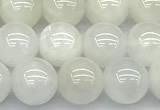 CMS2095 15 inches 6mm round white moonstone beads