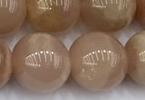 CMS2114 15 inches 11mm round moonstone beads