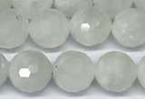 CMS2124 15 inches 8mm faceted rondelle white moonstone beads