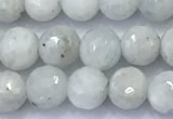 CMS2140 15 inches 6mm faceted round white moonstone beads