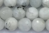 CMS2141 15 inches 8mm faceted round white moonstone beads