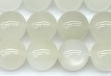 CMS2156 15 inches 10mm round white moonstone beads