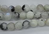 CMS216 15.5 inches 8mm round white moonstone gemstone beads