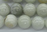 CMS217 15.5 inches 16mm round white moonstone gemstone beads