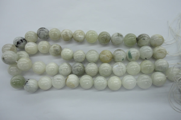 CMS217 15.5 inches 16mm round white moonstone gemstone beads