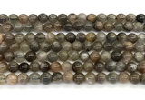 CMS2287 15 inches 6mm round grey moonstone beads wholesale