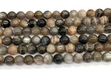 CMS2288 15 inches 8mm round grey moonstone beads wholesale