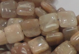 CMS29 15.5 inches 10*10mm square moonstone gemstone beads wholesale