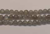 CMS300 15.5 inches 5mm round natural grey moonstone beads wholesale