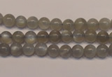 CMS302 15.5 inches 7mm round natural grey moonstone beads wholesale