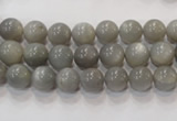 CMS303 15.5 inches 8mm round natural grey moonstone beads wholesale