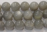 CMS307 15.5 inches 12mm round natural grey moonstone beads wholesale