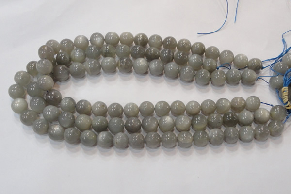 CMS307 15.5 inches 12mm round natural grey moonstone beads wholesale