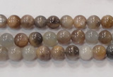 CMS310 15.5 inches 6mm round natural moonstone beads wholesale