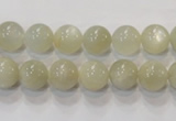 CMS311 15.5 inches 6mm round natural moonstone beads wholesale