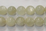 CMS313 15.5 inches 10mm round natural moonstone beads wholesale