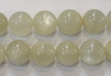 CMS314 15.5 inches 12mm round natural moonstone beads wholesale