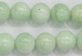 CMS406 15.5 inches 14mm round green moonstone beads wholesale