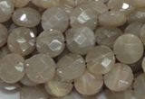 CMS44 15.5 inches 10mm faceted coin moonstone gemstone beads