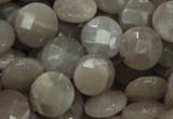 CMS46 15.5 inches 14mm faceted coin moonstone gemstone beads