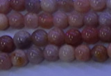 CMS502 15.5 inches 6mm round moonstone beads wholesale