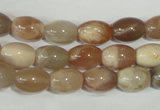 CMS511 15.5 inches 8*12mm rice moonstone beads wholesale