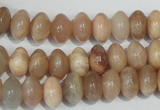 CMS519 15.5 inches 6*10mm rondelle moonstone beads wholesale