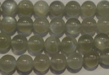 CMS652 15.5 inches 8mm round grey moonstone beads wholesale