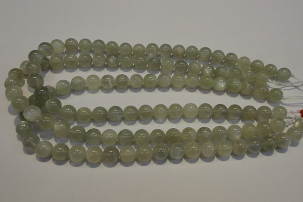 CMS653 15.5 inches 10mm round grey moonstone beads wholesale