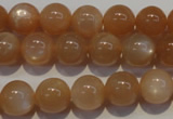 CMS703 15.5 inches 10mm round peach moonstone beads wholesale