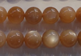 CMS734 15.5 inches 12mm round A grade natural peach moonstone beads